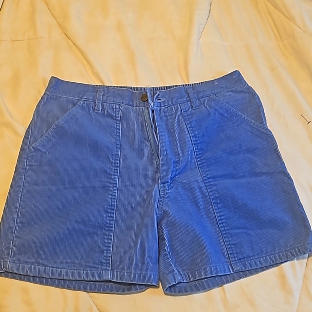 Vintage 1980s Beach Blvd Blue Corduroy Shorts - Womens Size 34